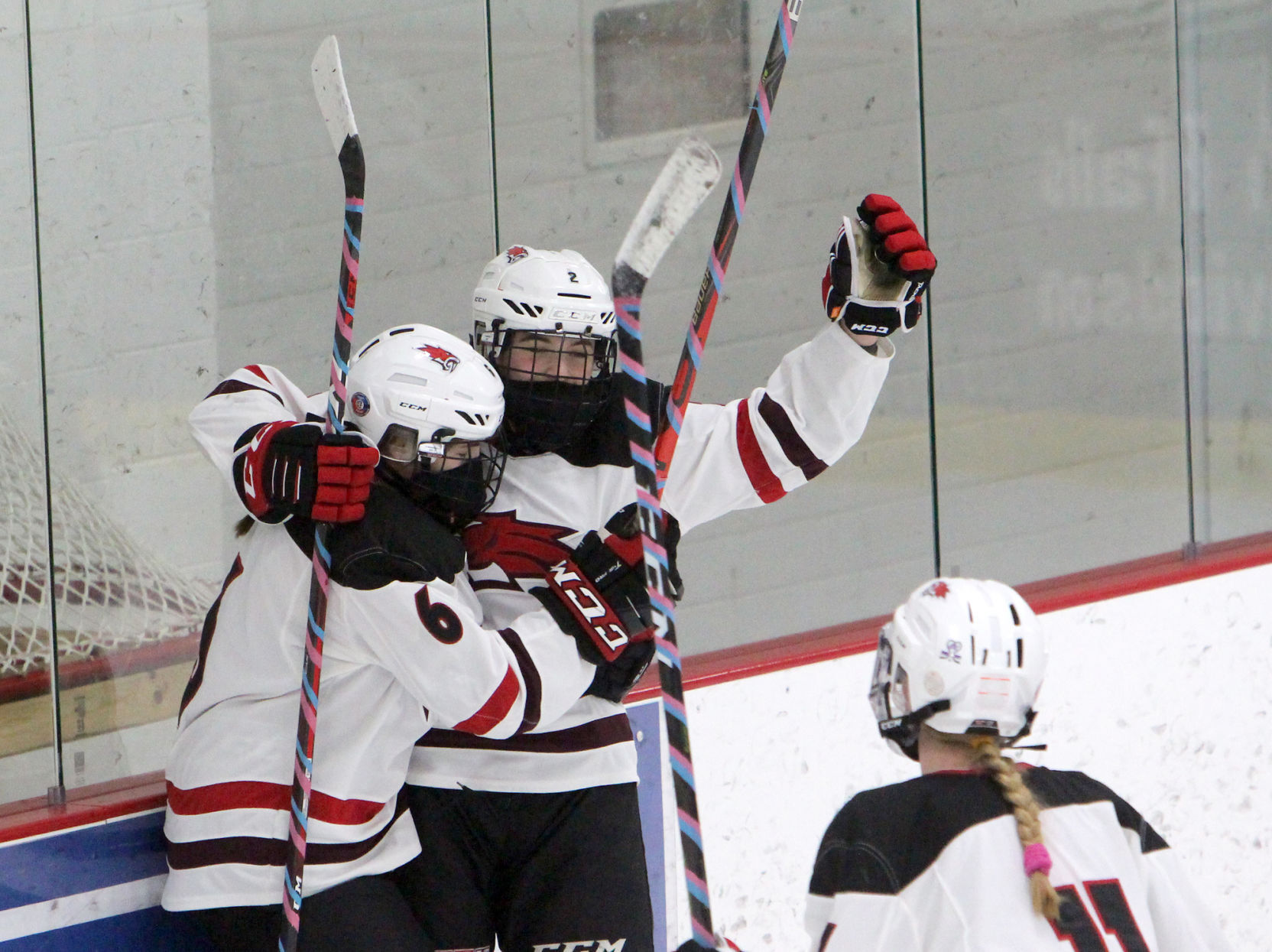 Superior at Chippewa Falls/Menomonie girls hockey 1-30-21